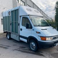 Iveco Daily 35C13 Trasporto Cavalli - No Iva