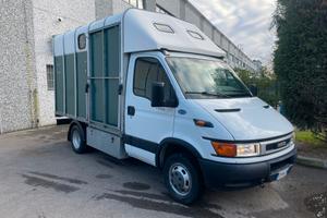 Iveco Daily 35C13 Trasporto Cavalli - No Iva