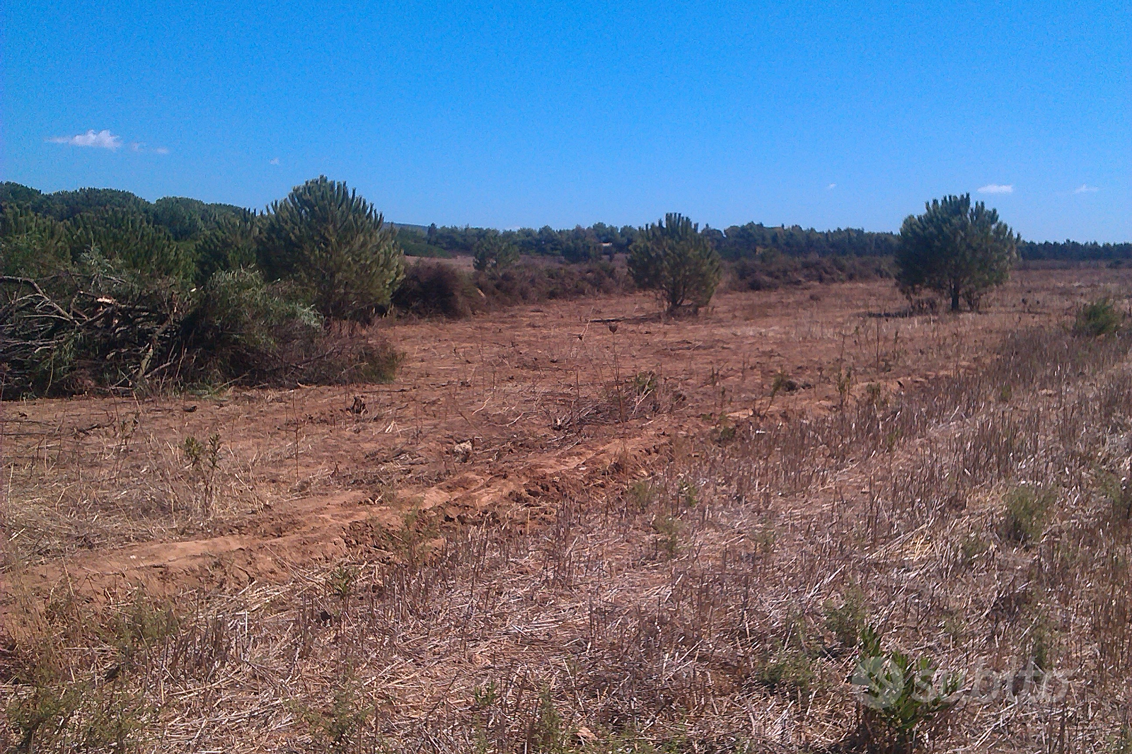 Terreno a porto ferro - Vista 3