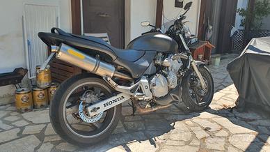 Honda hornet