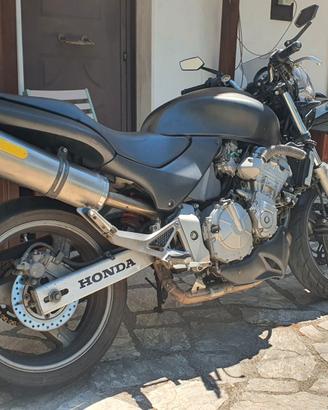 Honda hornet