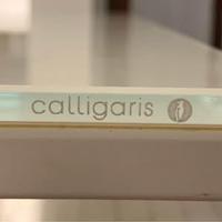 Tavolo Calligaris