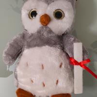 Peluche laurea Clintons 