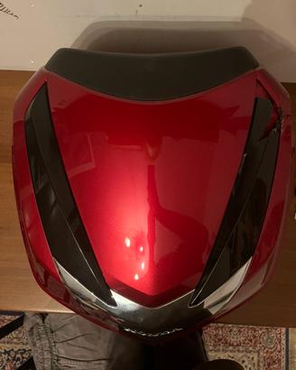Bauletto sh