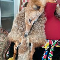 2 volpi intere vintage