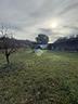 ter-agricolo-a-roma