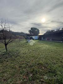TER. AGRICOLO A ROMA