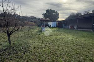 TER. AGRICOLO A ROMA