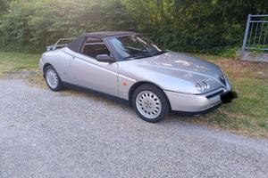 Alfa Romeo spider gtv