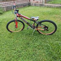 mtb ragazzo marca liotto