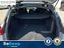 Immagine 22