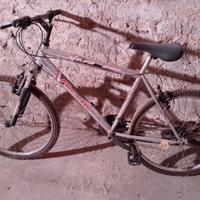 Bicicletta Mountain bike