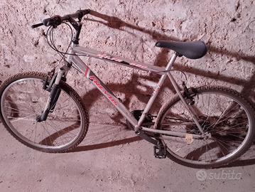 Bicicletta Mountain bike