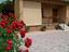 Immagine 23