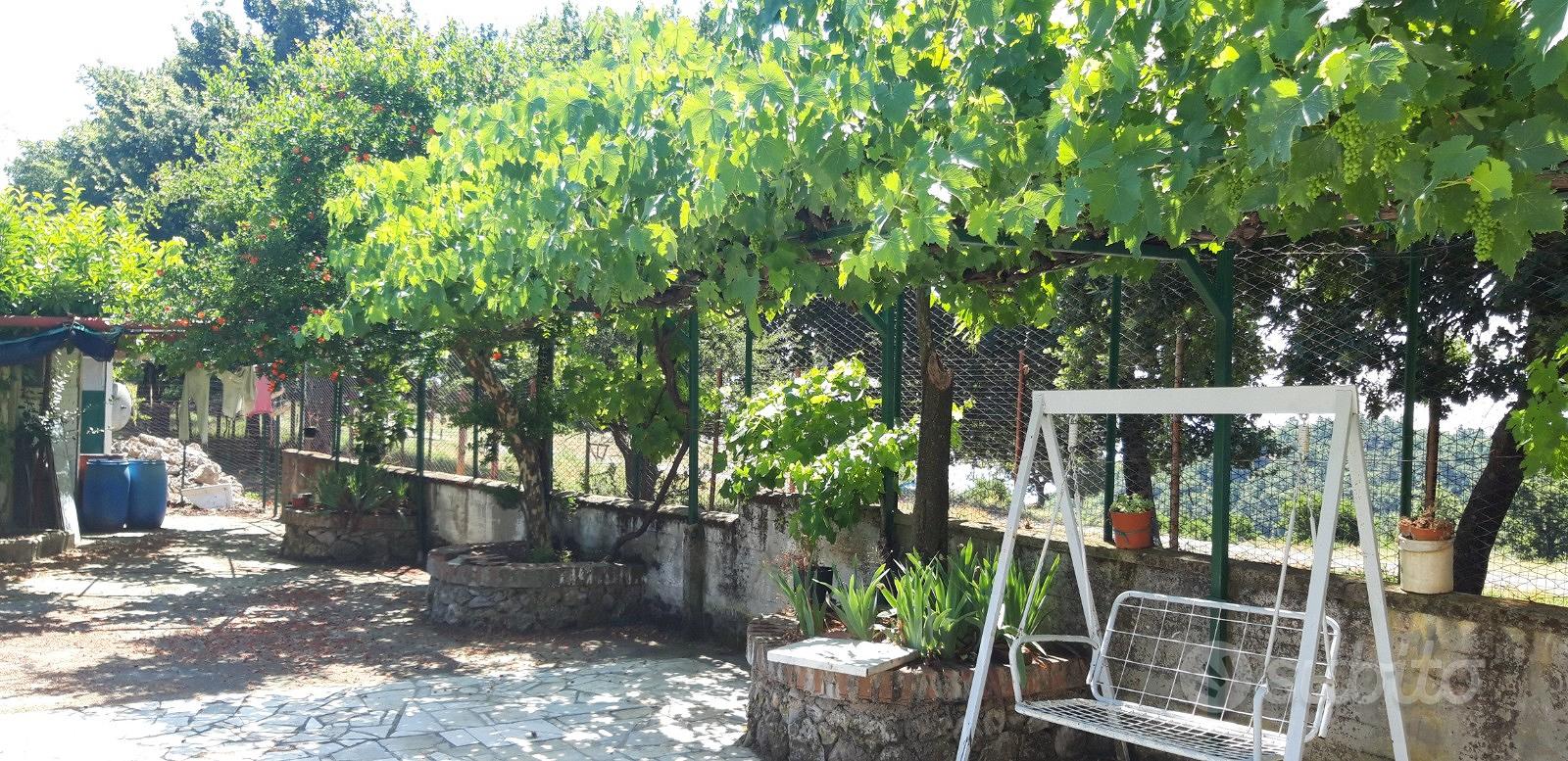 Terreno agricolo - Vista 4