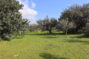 Terreno - Vittoria