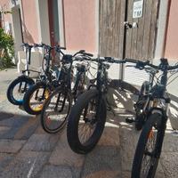BICI ELETTRICHE USATE 