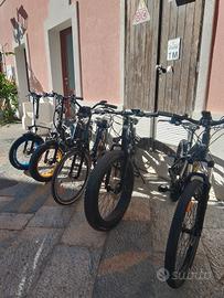 BICI ELETTRICHE USATE 