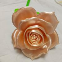 rosa 3D 