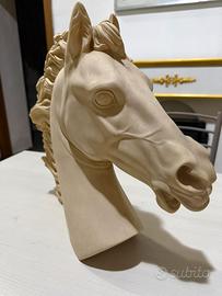 Testa di cavallo