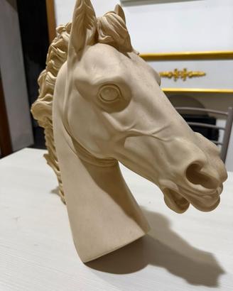 Testa di cavallo