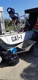 Catamarano prototipo da finire