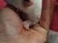 Immagine 2