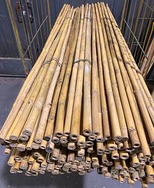 Canne BAMBOO