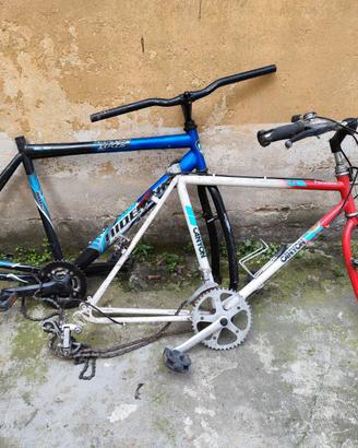 Telai bici