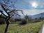 Immagine 23