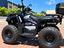 Immagine 3