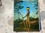 Immagine 2