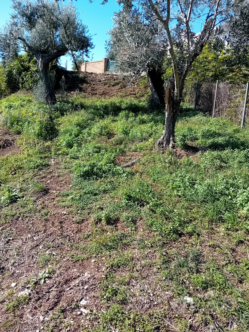 Terreno agricolo con rendita - Vista 3