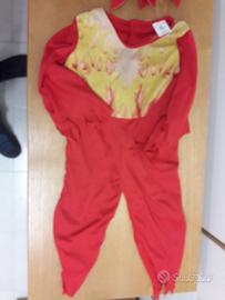 Vestiti di Carnevale 3/4 e 4/6anni