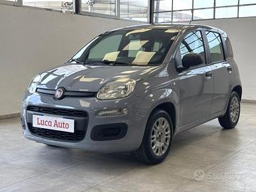 FIAT Panda 1.2 69CV *UNICO PROP.*DISTRIBUZ. FATT