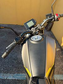 benelli 250