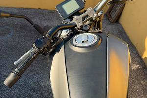 benelli 250