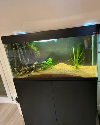 Acquario 200 l