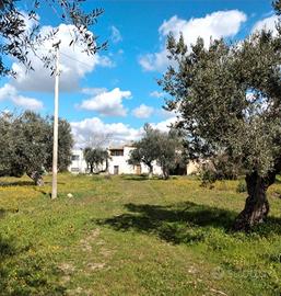 TERRENO Edificabile "D2" CONTRADA Grotticelli (