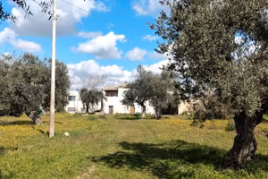 TERRENO Edificabile "D2" CONTRADA Grotticelli (