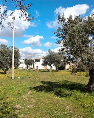 TERRENO Edificabile "D2" CONTRADA Grotticelli (