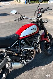 Ducati scrambler 800 icon