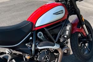 Ducati scrambler 800 icon