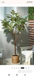 Pianta artificiale Ikea Fejka alta circa 170 cm