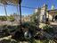 Immagine 23