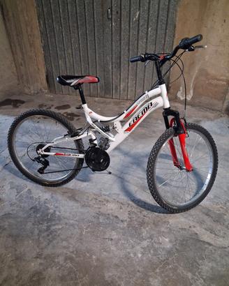 Bicicletta