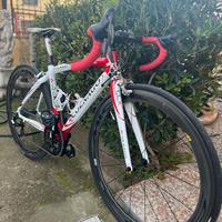 Bici da corsa