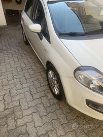 Punto evo