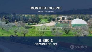 Immobile in asta di 7512 m² a Montefalco