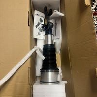 Ammortizzatore DX ad aria Audi A6/S6/RS6 C6 (4f)